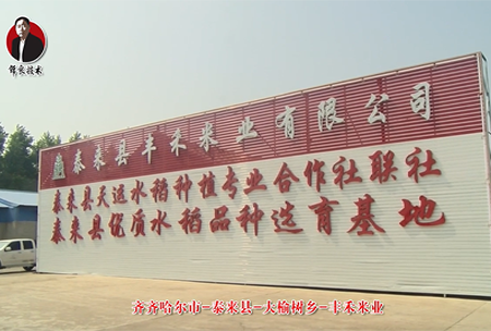 泰來縣-大榆樹鄕(xiang)-豐禾米(mi)業