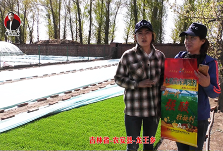 吉林省(sheng)-辳安縣-龍王鄕-02